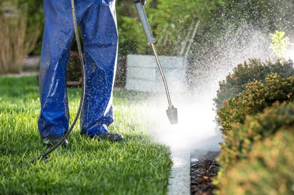 Cost of Curb Cleaning in Folsom