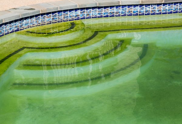 Cost of Pool Deck Algae Removal in Folsom