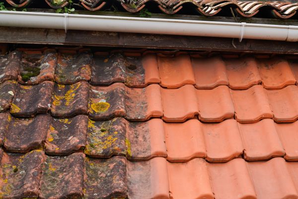 Cost of Industrial Roof Cleaning in Folsom