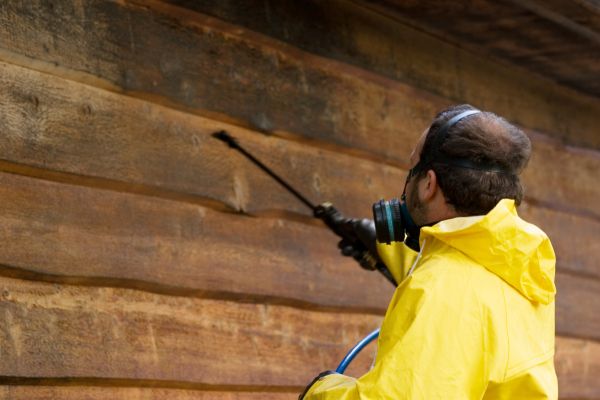 Cost of Cedar Siding Washing in Folsom